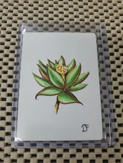 BLACK LOTUS MTG Sketch (Green/Brown) Dan Frazier Art Artist Proof SIGNED SWAMP - Image 1