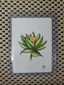 BLACK LOTUS MTG Sketch (Green/Brown) Dan Frazier Art Artist Proof SIGNED SWAMP - Image 3