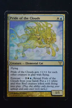 Magic The Gathering MTG PRIDE OF THE CLOUDS Dissension MP Moderately Played - Image 1