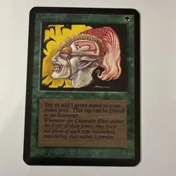 MTG: Llanowar Elves NM-Mint, English 1st Edition - Was Graded - Raw - - Image 1