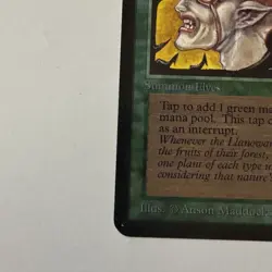 MTG: Llanowar Elves NM-Mint, English 1st Edition - Was Graded - Raw - - Image 4