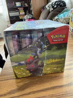 Pokemon TCG Ascended Heroes SEALED MINI TIN DISPLAY BOX 10x Tins WILL SHIP ASAP - Image 3