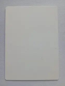 Swamp Signed Artist Proof MTG - Image 2