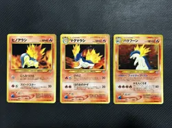 Complete Japanese Pokemon Neo 1 Premium File Set Meganium Feraligatr Typhlosion - Image 4