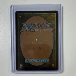 Wizards MTG The Cabbage Merchant TLE Legendary Creature Rare Green 0203 - Image 2