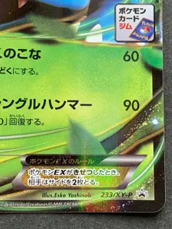 Pokemon card Venusaur EX 233/XY-P Promo 2016 Japanese Pocket Monster Holo Rare - Image 4