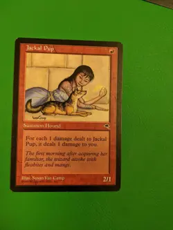 Jackal Pup Tempest Regular - Image 1