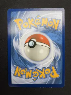 Pokemon Charizard & Braixen GX 251/236 Rainbow Rare Full Art Holo 270 HP - Image 2