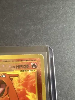 Pokemon TCG Charizard Neo Premium File 2 Holo Japanese 2000 Ungraded - Image 4