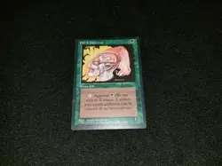 MTG 1x Revised green common LP Italian FBB Llanowar Elves ships w/ tracking - Image 1