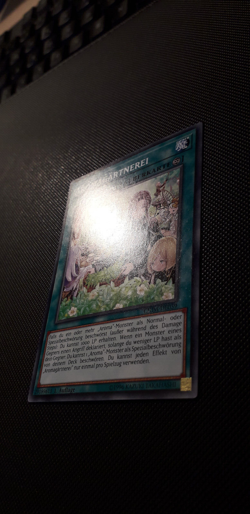 Yu-Gi-Oh! Aromagartnerei, CHIM-DE059, Common, 1. Auflage, Deutsch, Near Mint - Image 3