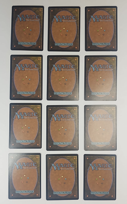 MTG Mercadian Masques MMQ Lot 38 Basic Land 1999 - Old School Rob Alexander + LP - Image 5