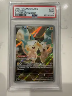 2023 Pokemon SVI EN Illustration Rare 208/198 Pachirisu PSA 8 - Image 1