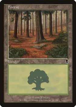 MTG Forest (347) ** Odyssey ** English (NM) - Image 1