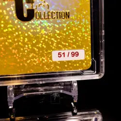 Maomao Waifu Card Encased #51/99 Gold Demigoddess Collection SLAB Apothecary ACG - Image 5