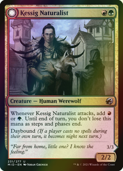 MTG Kessig Naturalist // Lord of the Ulvenwald Foil ** Midnight ** English (NM) - Image 1