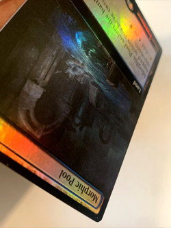 MTG Morphic Pool EXTENDED ART FOIL Commander Legends Baldur's Gate 603 NM - Image 5