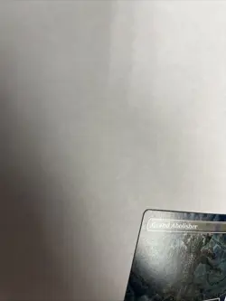 Grand Abolisher Borderless Nonfoil Card #0625 MTG LP - Image 4