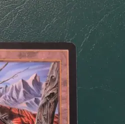 Wizards of the Coast Wasteland MTG Tempest Land Uncommon 1997 Una Fricker - Image 3