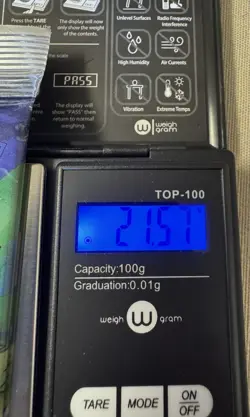 21.57 Grams - Pokemon Base Set Booster Pack - Factory Sealed 1999 - Venusaur Art - Image 2