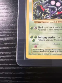 Tangela 66/102 Base Set Shadowless WOTC Vintage Pokemon - Image 2