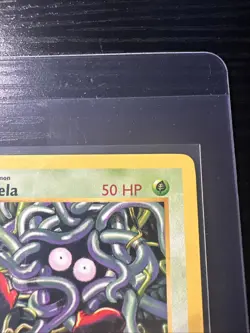 Tangela 66/102 Base Set Shadowless WOTC Vintage Pokemon - Image 4
