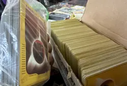 HUGE VARIETY Energy Pokemon Lot 500+. E-read / Championship, and more - Image 1