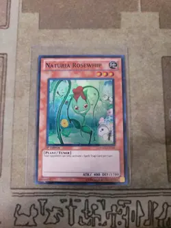 YUGIOH NATURIA ROSEWHIP HA02-EN041 SUPER 1ST ED NM - Image 1