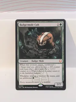 Badgermole Cub Avatar: The Last Airbender Regular LP - Image 1