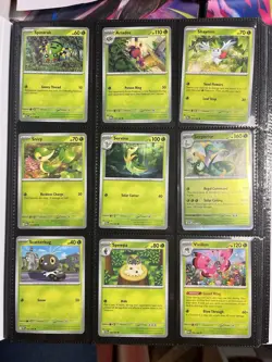 Pokemon Perfect Order 1-88 w/ Bonus IR + Holos +bulk Box (Binder Included) 💚 - Image 1