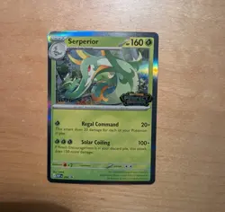 Serperior Pokemon Staff Perfect Order Black Star Promo MEP 064 - Image 1