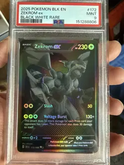 Pokemon TCG Zekrom EX Black Bolt 172/086 Sir PSA 9 - Image 1