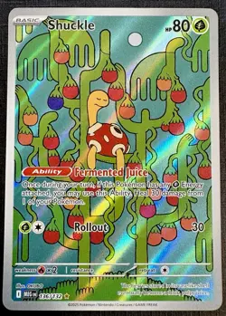 Shuckle 136/132 Mega Evolution - ILLUSTRATION RARE HOLO - 2025 Pokemon - Image 1