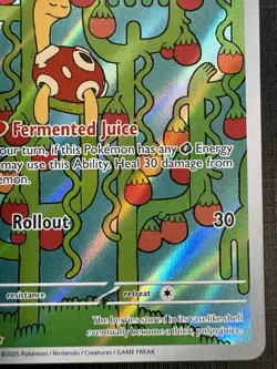 Shuckle 136/132 Mega Evolution - ILLUSTRATION RARE HOLO - 2025 Pokemon - Image 3