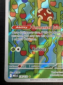 Shuckle 136/132 Mega Evolution - ILLUSTRATION RARE HOLO - 2025 Pokemon - Image 4