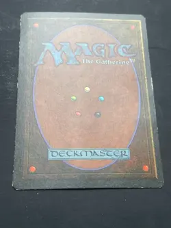 Savannah - Moderate Play English - Revised Edition - Vintage - (sav6) - Image 2