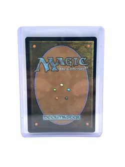 Mikey & Leo, Chaos & Order (Showcase) Teenage Mutant Ninja Turtles Reg MTG 247 - Image 2