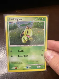 Turtwig DP01 - Diamond & Pearl Black Star Promo Holo Rare SWIRL Pokemon Card - Image 1