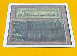 MTG BAYOU Unlimited (OldManMTG 013-245) - Image 3