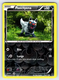Poochyena 53/119 2014 Phantom Forces Pokemon Card TCG Reverse Holo Common - VLP - Image 1