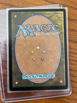 Arid Mesa Zendikar Rising Expeditions Mythic Rare - Image 3