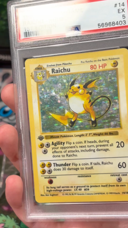 Pokemon TCG Raichu 14/102 Base Set 1st Edition Shadowless Holo PSA 5 - Image 2