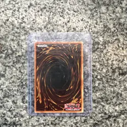 Konami Yu-Gi-Oh! Dark Magician DDS-002 Prismatic Secret Rare Promo Holo - Image 4