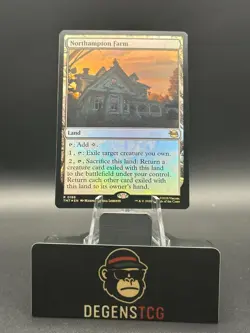 Northampton Farm Teenage Mutant Ninja Turtles Foil 0188 - Image 1