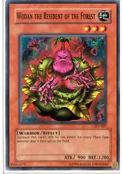 YUGIOH Wodan the Resident of the Forest TP1-027 Near-Mint NM - Image 1