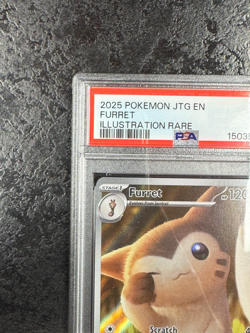 2025 POKEMON JOURNEY TOGETHER EN FURRET ILLUSTRATION RARE #188 💎 PSA 9 - Image 3
