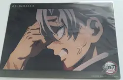 Demon Slayer: Kimetsu No Yaiba Webshop Lottery Big Clear Card Fushikawa Miya The - Image 1