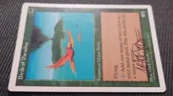 Mtg Rare Signed English Version Bird Of Paradise 5Th 5Ed Edition - Image 3