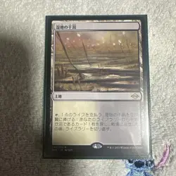 Mtg Mh2 Wetland Tidal Flats - Image 1