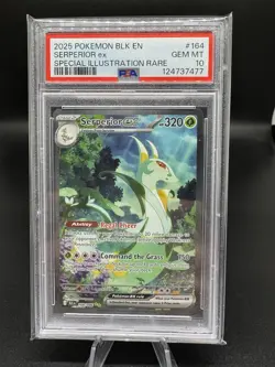 2025 POKEMON BLK EN-BLACK BOLT SPECIAL ILLUSTRATION RARE SERPERIOR EX PSA 10 - Image 1